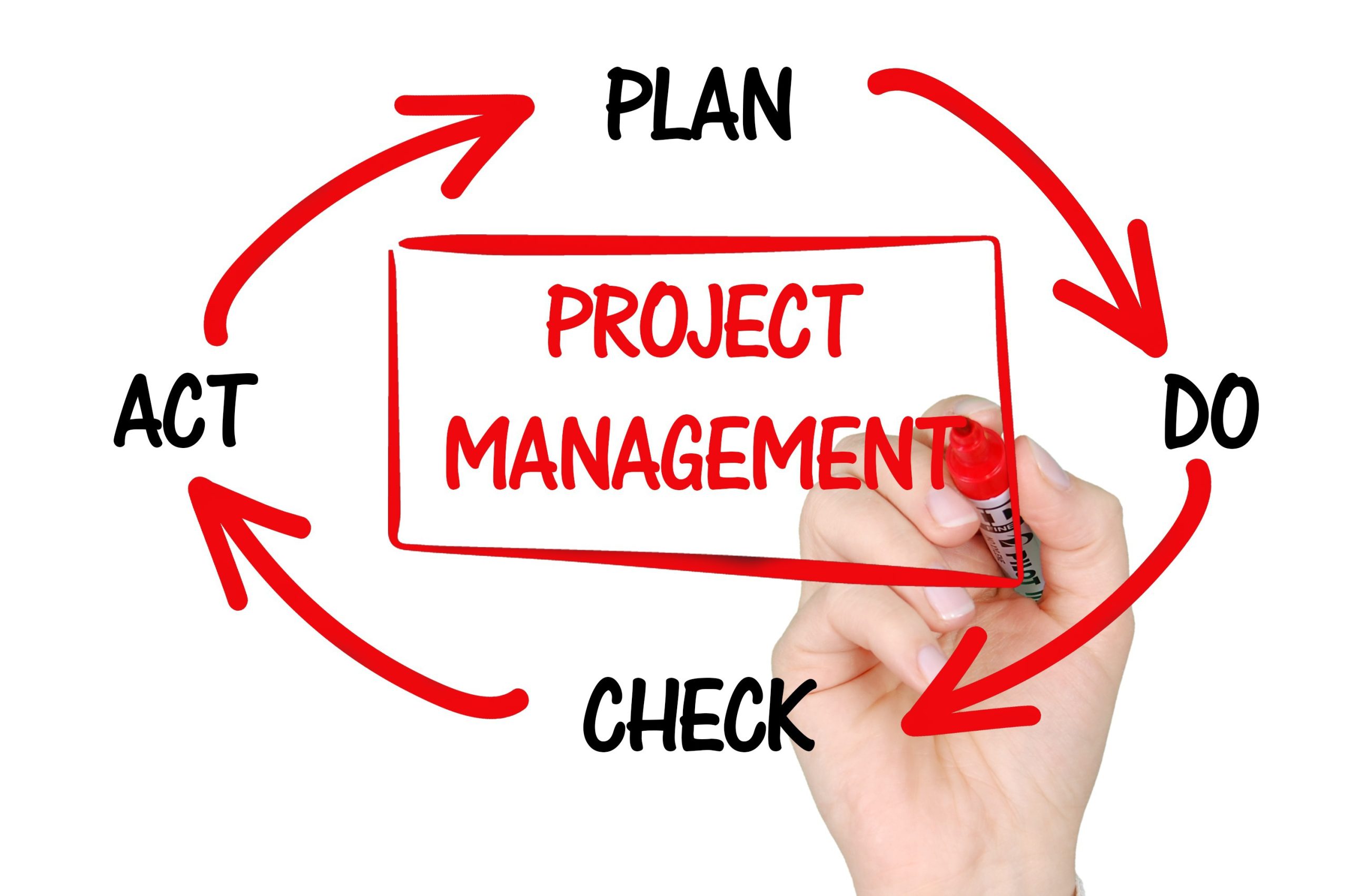 thedigitalartist-project-management-2738521